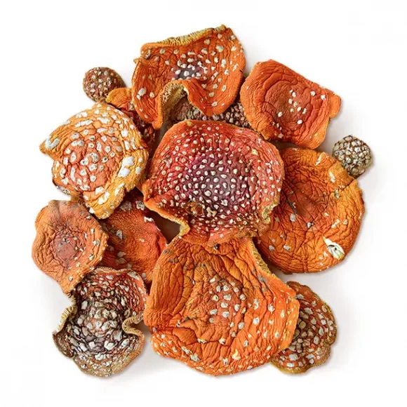 🎁 Красные мухоморы 🍄 (100 гр.)