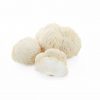 🎁 Ежовик гребенчатый (Lion's mane) - (100 гр.)
