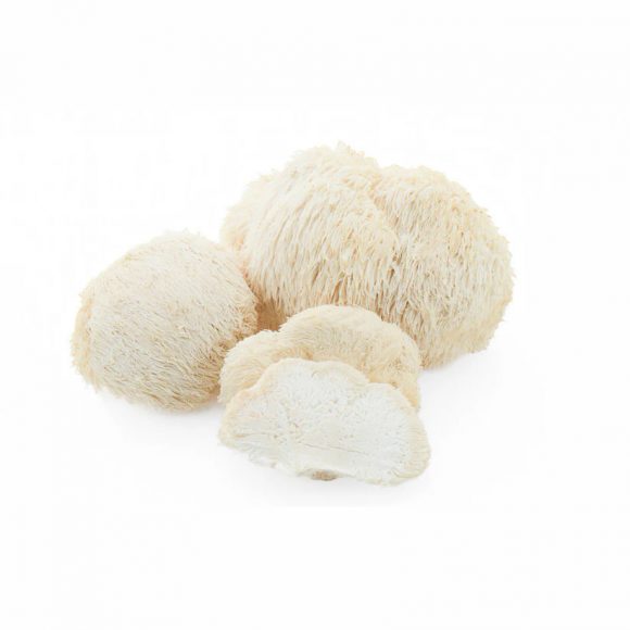 🎁 Ежовик гребенчатый (Lion's mane) - (50 гр.)